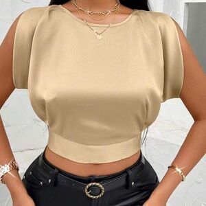 Tie Back Crop Satin Blouse (never worn)